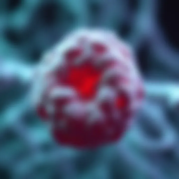 Histiocytic Sarcoma in Humans: A Comprehensive Examination Summary