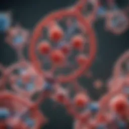 Illustration depicting the biological structure of HLA molecules