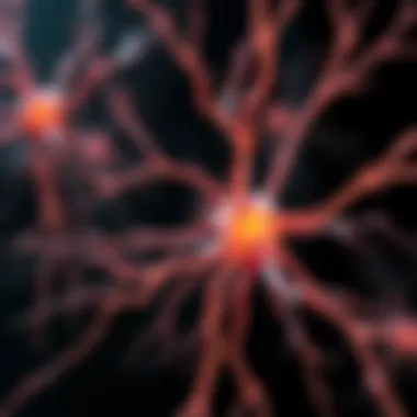 Notable Human Dorsal Root Ganglion Neurons: Insights into Structure and Function