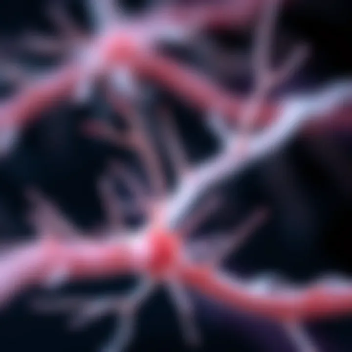 Human Dorsal Root Ganglion Neurons: Insights into Structure and Function Summary