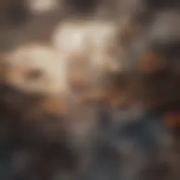 Nutrient-rich rosehips ready for processing