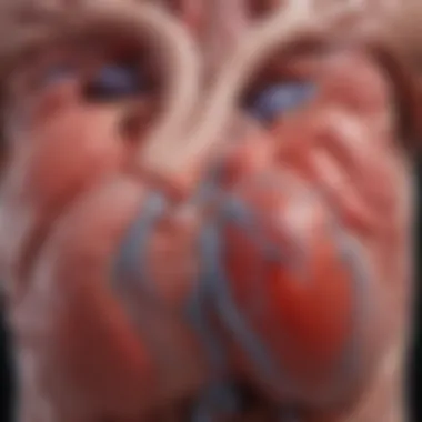 Pathophysiology of Hypertensive Heart Disease A diagram showing the pathophysiology of hypertensive heart disease.