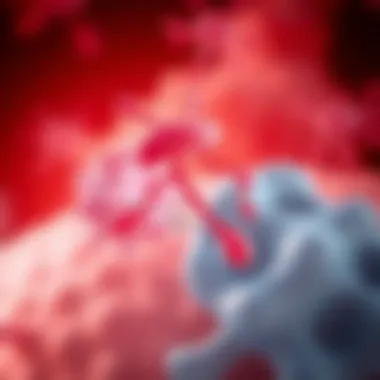 Diagram illustrating immune system interaction