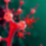 Illustration of muscarinic receptors in cellular processes