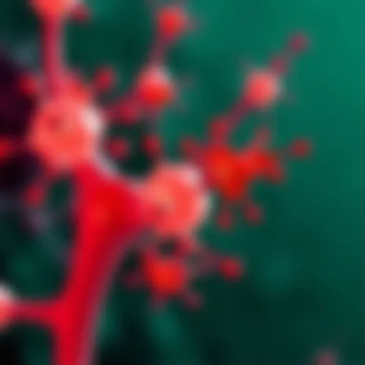 Illustration of muscarinic receptors in cellular processes