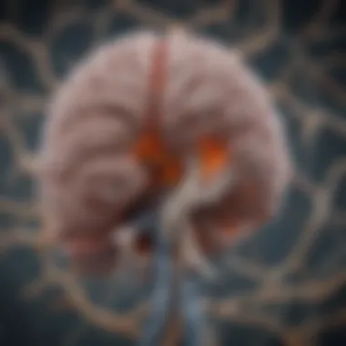 Brain Stem Imaging Imaging results showcasing different types of brain stem masses
