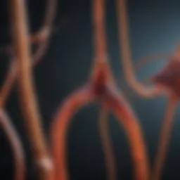 Infographic illustrating the connection between iron levels and neurological functions