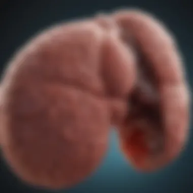 Is Liver Cancer Hereditary? An In-Depth Examination Introduction Is Liver Cancer Hereditary? An In-Depth Examination Introduction