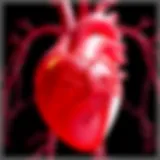 Impact of Kawasaki Disease on Cardiovascular Health Clinical representation of Kawasaki disease effects on heart