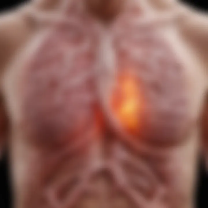 Diagram showing the relationship between lactic acid levels and inflammation in COPD patients.