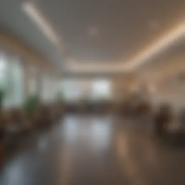 Long Term Care Facilities for Schizophrenia: Understanding Options and Implications Introduction Long Term Care Facilities for Schizophrenia: Understanding Options and Implications Introduction