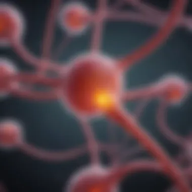 Interaction of Lyrica with Renal Systems Diagram showing the interaction between Lyrica and renal systems