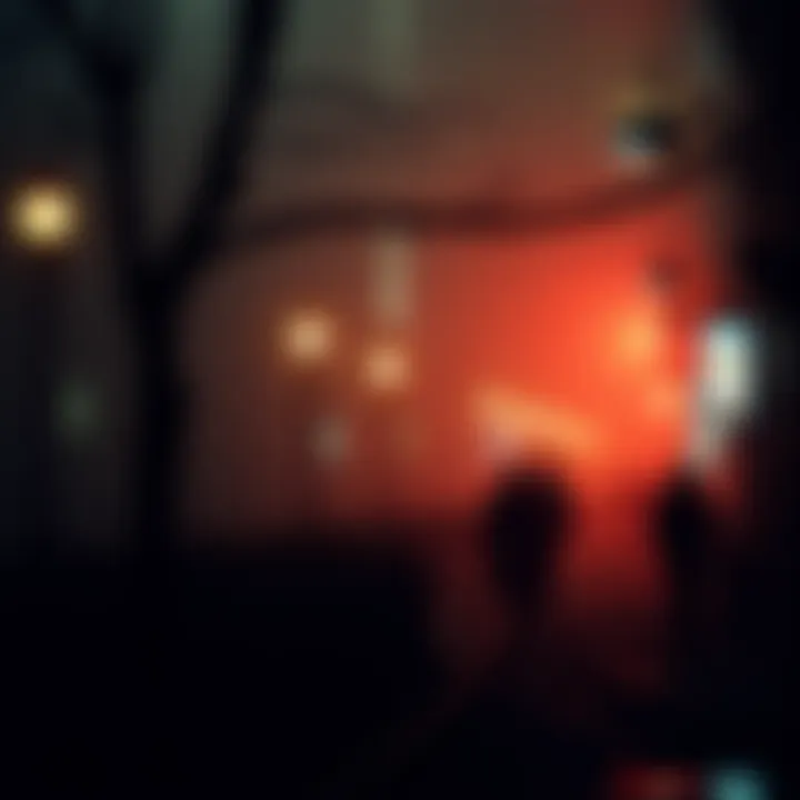 Environmental factors influencing the spread of the Spanish Flu