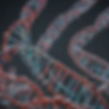 Understanding DNA Methylation Patterns Illustration of DNA methylation patterns