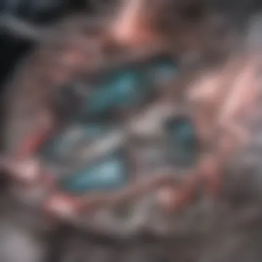 Anatomical Structure of the Heart and Mitral Valve Anatomical illustration of the heart showing mitral valve structure