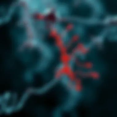 Diagram showing molecular mechanisms influenced by SMN1 gene variations
