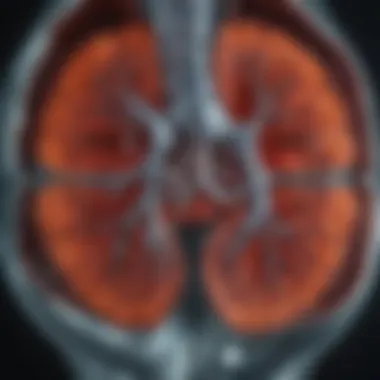 MRI Findings in Emphysema and Pulmonary Function MRI findings related to emphysematous changes and pulmonary function