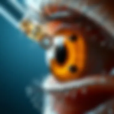 Mechanism of Action of Naltrexone Mechanism of action of naltrexone on ocular tissues