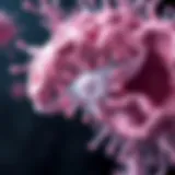 Pharmacological Mechanism of Nasarel Pharmacological illustration of Nasarel's mechanism