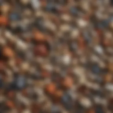Textures and Colors of Natural Aggregates A close-up view of various types of natural aggregates showcasing their textures and colors.