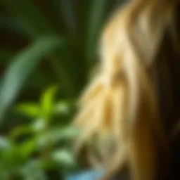 Natural herbs and plants that promote relaxation