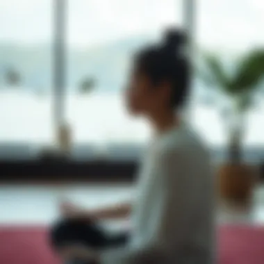 Meditation Techniques for Mental Clarity Meditation practice in a serene environment