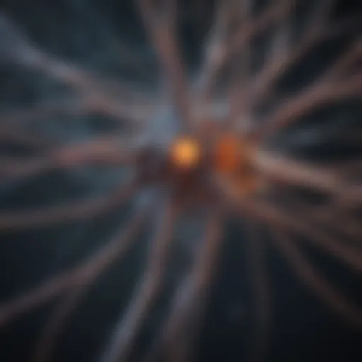 Neuronal network illustration showcasing pathways of regeneration