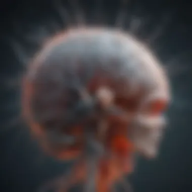 Mechanisms of Neuronal Repair Diagram illustrating key mechanisms influencing neuronal repair