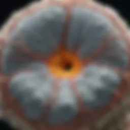 CT scan example highlighting noncalcified nodules