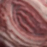Histological analysis of lung tissue in an ovalbumin-induced asthma model