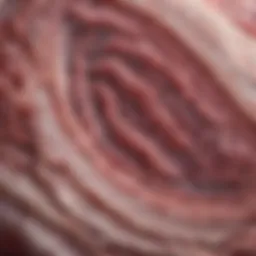 Histological analysis of lung tissue in an ovalbumin-induced asthma model