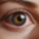 Close-up view of PMMA contact lenses showcasing their clarity and design.