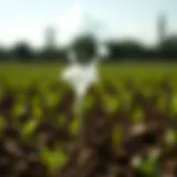 Potassium Chloride Fertilizer Application Rate: An In-Depth Analysis Introduction