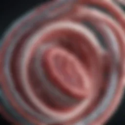 Illustration of a pulmonary stent within a bronchial passage