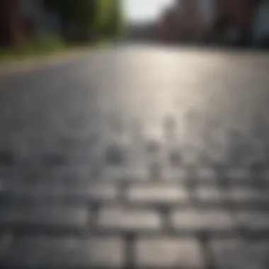 Economic Impact of Recycled Plastic Paving Economic impact analysis of recycled plastic paving materials