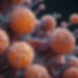 Microscopic view of sarcomatoid carcinoma cells showcasing their unique characteristics.
