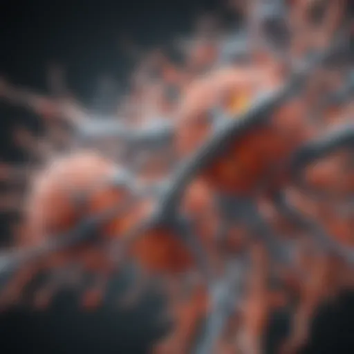 A detailed diagram illustrating the mechanism of action of SSRIs on serotonin receptors in the brain.