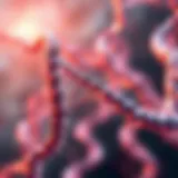 Illustration depicting the structure of the SMN1 gene