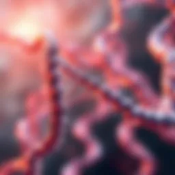 Illustration depicting the structure of the SMN1 gene