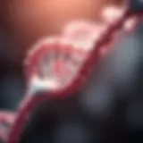 Understanding the Structure of the SMN1 Gene Illustration depicting the structure of the SMN1 gene