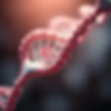 Understanding the Structure of the SMN1 Gene Illustration depicting the structure of the SMN1 gene