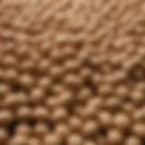 Close-up of soybeans illustrating their nutritional richness