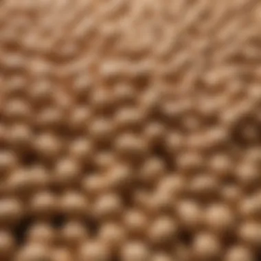 Nutritional Richness of Soybeans Close-up of soybeans illustrating their nutritional richness