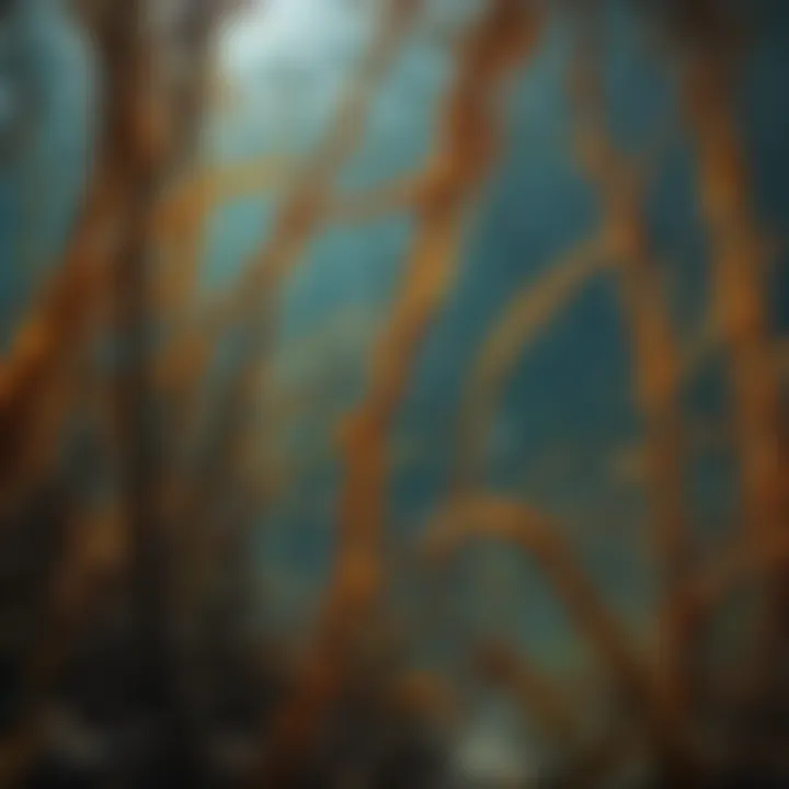 Kelp forest ecosystem showing various interspecies interactions