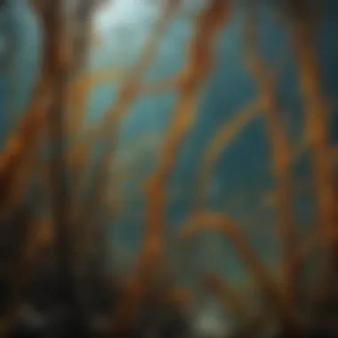 Interconnectedness of Marine Life Kelp forest ecosystem showing various interspecies interactions