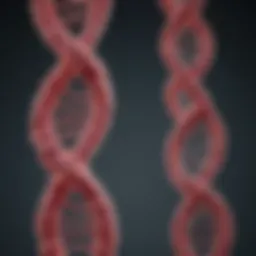 The BRCA1 Gene: Insights into Chromosomal Dynamics and Implications Introduction