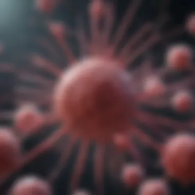 TGF-β in Cancer Progression Impact of TGF-β on cancer progression