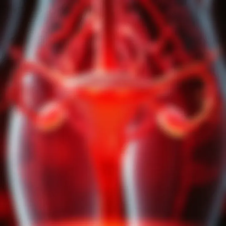 Physiological Mechanisms of Ovarian Health Representation of physiological mechanisms involved with ovarian health