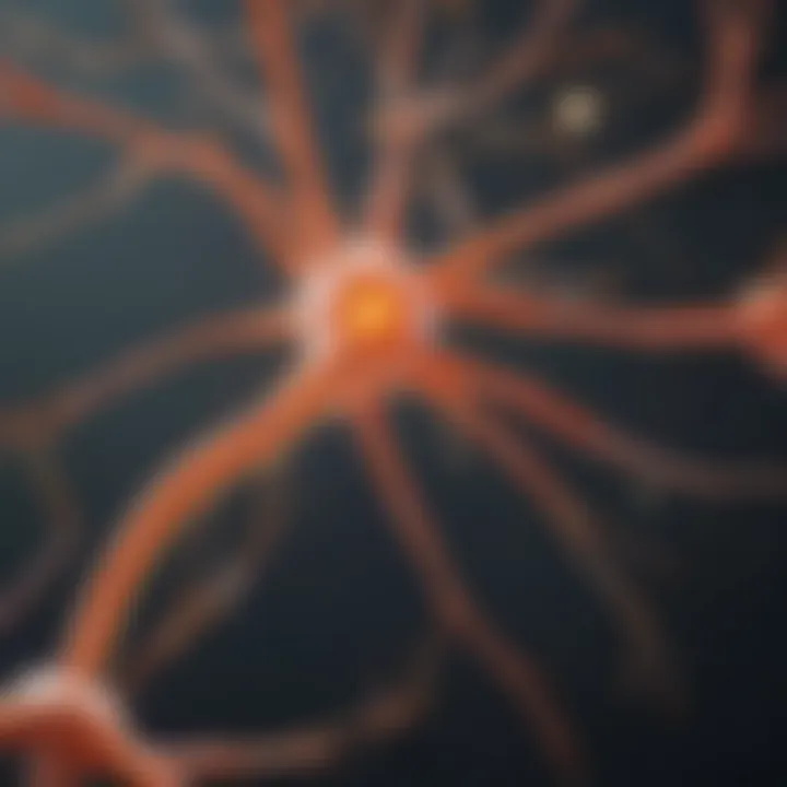 Neuron with vitamin D receptors