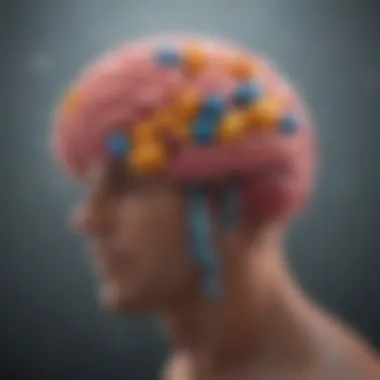 The Role of Vitamins in Brain Health Vitamins and brain health infographic